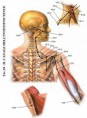 /album/meridiani/a10-it-jpg/